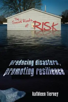 Die sozialen Wurzeln des Risikos: Katastrophen produzieren, Resilienz fördern - The Social Roots of Risk: Producing Disasters, Promoting Resilience