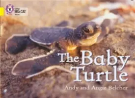 Die Baby-Schildkröte - The Baby Turtle
