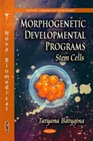 Morphogenetische Entwicklungsprogramme - Stammzellen - Morphogenetic Developmental Programs - Stem Cells