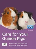 Pflege für Ihre Meerschweinchen - Care for Your Guinea Pigs