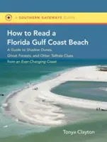 Wie man einen Strand an der Golfküste Floridas liest: Ein Leitfaden für Schattendünen, Geisterwälder und andere verräterische Hinweise auf eine sich ständig verändernde Küste - How to Read a Florida Gulf Coast Beach: A Guide to Shadow Dunes, Ghost Forests, and Other Telltale Clues from an Ever-Changing Coast