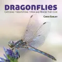 Libellen: Fangen - Bestimmen - Wie und wo sie leben - Dragonflies: Catching - Identifying - How and Where They Live