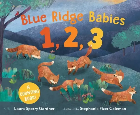 Blue Ridge Babies 1, 2, 3: Ein Zählbuch - Blue Ridge Babies 1, 2, 3: A Counting Book