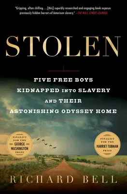 Gestohlen: Fünf freie Jungen, die in die Sklaverei entführt wurden, und ihre erstaunliche Odyssee nach Hause - Stolen: Five Free Boys Kidnapped Into Slavery and Their Astonishing Odyssey Home