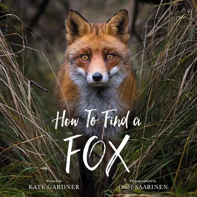 Wie man einen Fuchs findet - How to Find a Fox