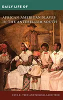 Das tägliche Leben der afroamerikanischen Sklaven im Süden der Vorkriegszeit - Daily Life of African American Slaves in the Antebellum South