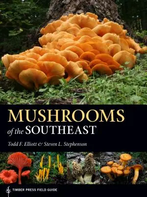Pilze des Südostens - Mushrooms of the Southeast