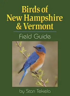 Vögel von New Hampshire und Vermont: Feldführer - Birds of New Hampshire & Vermont Field Guide