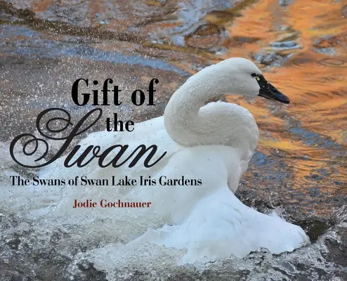 Das Geschenk des Schwans: Die Schwäne des Schwanensee-Iris-Gartens - Gift of the Swan: The Swans of Swan Lake Iris Gardens