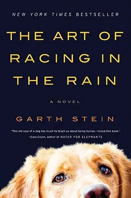 Die Kunst, im Regen zu rennen - The Art of Racing in the Rain