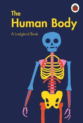 Marienkäfer-Buch: Der menschliche Körper - Ladybird Book: The Human Body