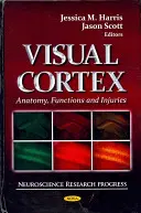 Visuelle Hirnrinde - Anatomie, Funktionen und Verletzungen - Visual Cortex - Anatomy, Functions & Injuries