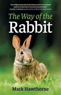 Der Weg des Kaninchens - The Way of the Rabbit