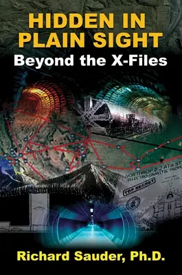 Versteckt im Verborgenen: Jenseits der X-Akten - Hidden in Plain Sight: Beyond the X-Files