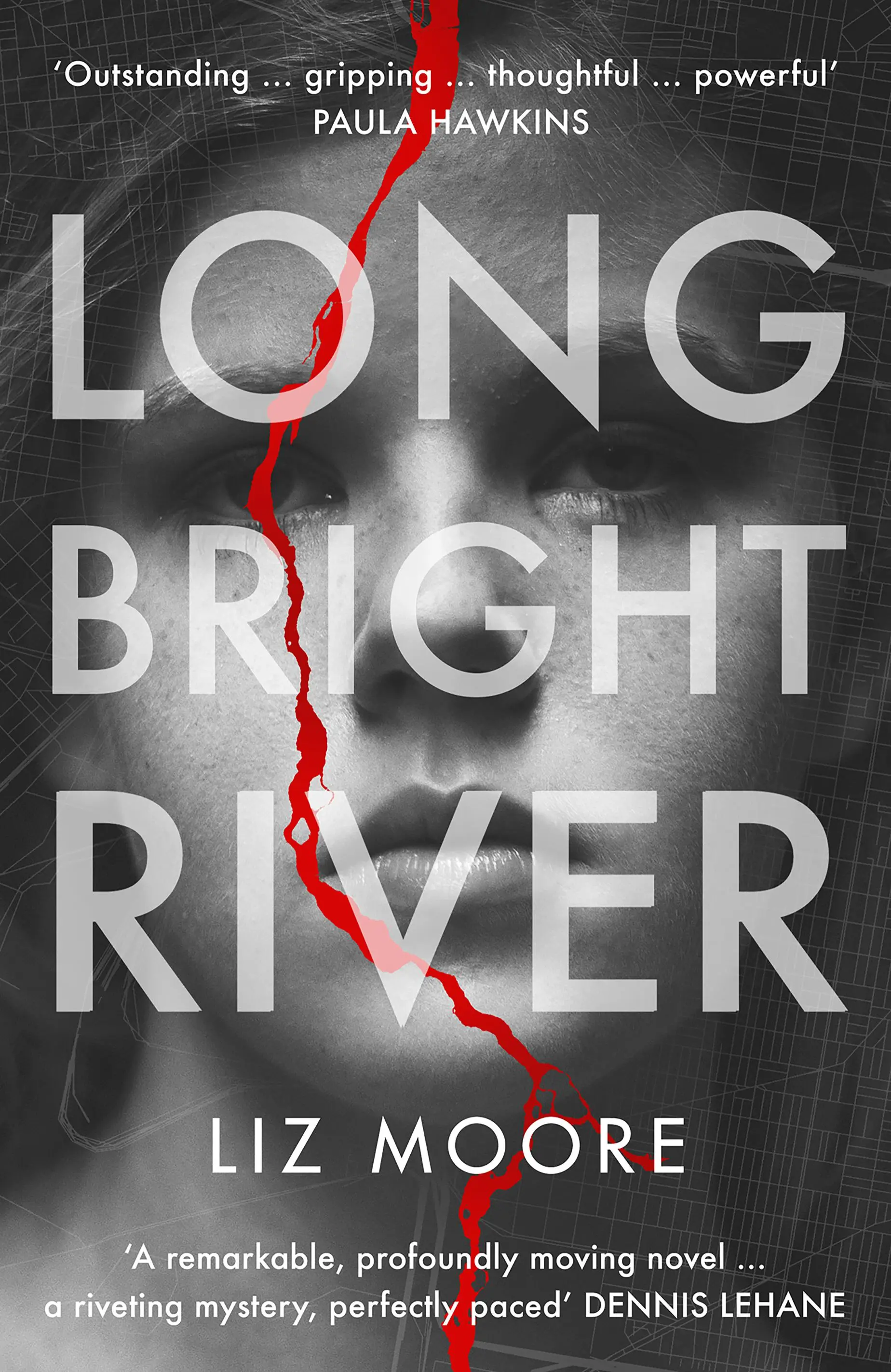 Long Bright River - ein intensiver Familienthriller - Long Bright River - an intense family thriller