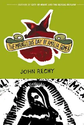 Der wundersame Tag der Amalia Gmez - The Miraculous Day of Amalia Gmez