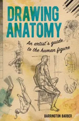 Anatomie Zeichnen: Ein Künstlerleitfaden zur menschlichen Figur - Drawing Anatomy: An Artist's Guide to the Human Figure