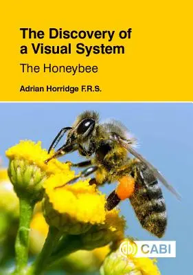 Die Entdeckung eines visuellen Systems - die Honigbiene - The Discovery of a Visual System - The Honeybee