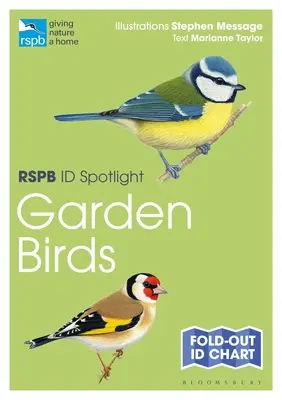 Rspb Id Spotlight - Gartenvögel - Rspb Id Spotlight - Garden Birds