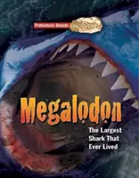 Megaladon - Prähistorische Bestien aufgedeckt - Der größte Hai, der je gelebt hat - Megaladon - Prehistoric Beasts Uncovered - The Largest Shark That Ever Lived