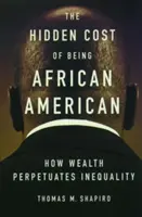 Die versteckten Kosten des Afroamerikanerseins: Wie Reichtum die Ungleichheit aufrechterhält - The Hidden Cost of Being African American: How Wealth Perpetuates Inequality