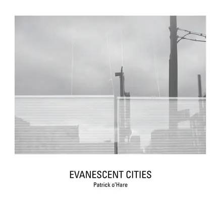 Schwindende Städte - Evanescent Cities