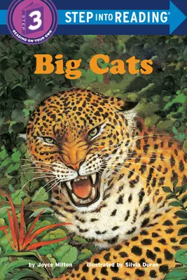 Großkatzen - Big Cats