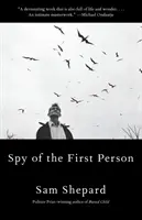 Spionin der ersten Person - Spy of the First Person