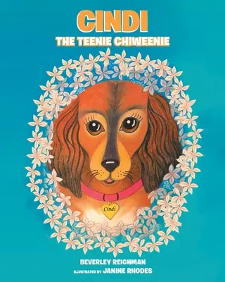 Cindi das Teenie Chiweenie - Cindi the Teenie Chiweenie