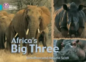 Afrikas große Drei - Africa's Big Three