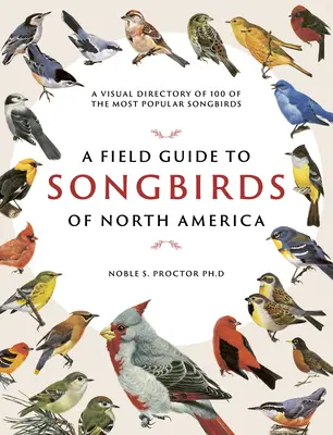 A Field Guide to Songbirds of North America: Ein visuelles Verzeichnis von 100 der beliebtesten Singvögel - A Field Guide to Songbirds of North America: A Visual Directory of 100 of the Most Popular Songbirds