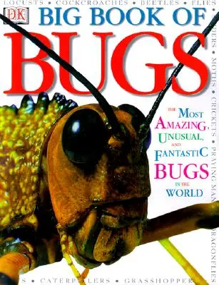 Das große Buch der Käfer - Big Book of Bugs