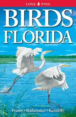 Vögel von Florida - Birds of Florida
