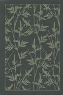 Die Bront-Schwestern Boxed Set: Jane Eyre; Sturmhöhe; Der Diener von Wildfell Hall; Villette - The Bront Sisters Boxed Set: Jane Eyre; Wuthering Heights; The Tenant of Wildfell Hall; Villette