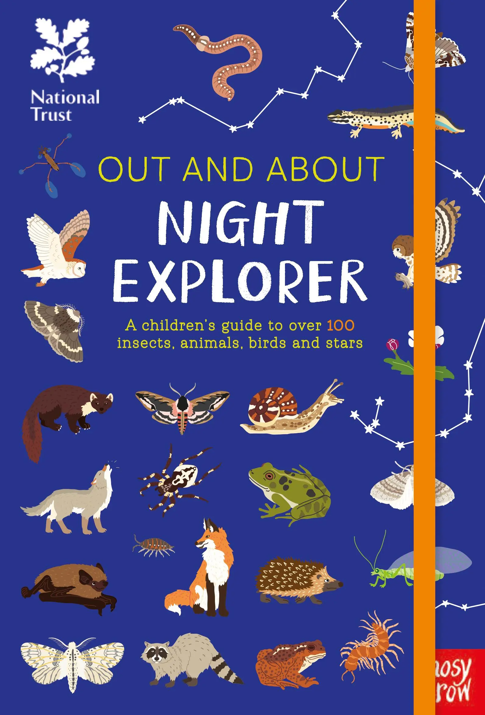 National Trust: Out and About Night Explorer - Ein Leitfaden für Kinder zu über 100 Insekten, Tieren, Vögeln und Sternen - National Trust: Out and About Night Explorer - A children's guide to over 100 insects, animals, birds and stars
