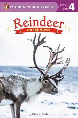 Rentiere: Unterwegs! - Reindeer: On the Move!