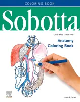 Sobotta Anatomie-Malbuch ENGLISCH/LATEIN - Sobotta Anatomy Coloring Book ENGLISCH/LATEIN