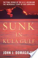 Gesunken im Golf von Kula: Die letzte Reise der USS Helena und die unglaubliche Geschichte ihrer Überlebenden im Zweiten Weltkrieg - Sunk in Kula Gulf: The Final Voyage of the USS Helena and the Incredible Story of Her Survivors in World War II