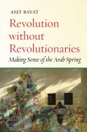 Revolution ohne Revolutionäre: Der Sinn des Arabischen Frühlings - Revolution Without Revolutionaries: Making Sense of the Arab Spring