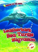 Die Wanderung der Lederschildkröte - Leatherback Sea Turtle Migration