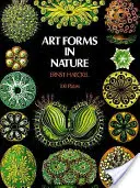 Kunstformen in der Natur - Art Forms in Nature