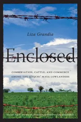 Eingeschlossen: Naturschutz, Viehzucht und Handel bei den Q'eqchi' Maya-Tieflandbewohnern - Enclosed: Conservation, Cattle, and Commerce Among the Q'eqchi' Maya Lowlanders