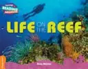 Leben am Riff Orangefarbenes Band - Life on the Reef Orange Band