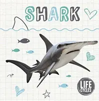 Lebenszyklus eines Hais - Life Cycle of a Shark