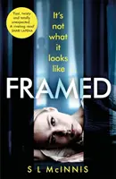 Framed - ein absolut fesselnder Psychothriller mit einer schockierenden Wendung - Framed - an absolutely gripping psychological thriller with a shocking twist