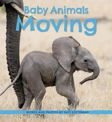 Baby-Tiere in Bewegung - Baby Animals Moving