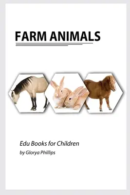 Bauernhof-Tiere: Montessori Buch „Echte Bauernhoftiere“, Intelligenzbolzen für Babys und Kleinkinder, Kinderbuch, Lernmaterial - Farm Animals: Montessori real Farm Animals book, bits of intelligence for baby and toddler, children's book, learning resources