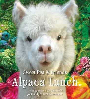 Alpaka-Mittagessen - Alpaca Lunch