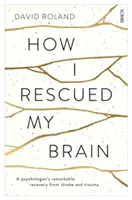 Wie ich mein Gehirn rettete - die bemerkenswerte Genesung eines Psychologen nach Schlaganfall und Trauma - How I Rescued My Brain - a psychologist's remarkable recovery from stroke and trauma