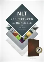 Illustrierte Studienbibel-NLT - Illustrated Study Bible-NLT